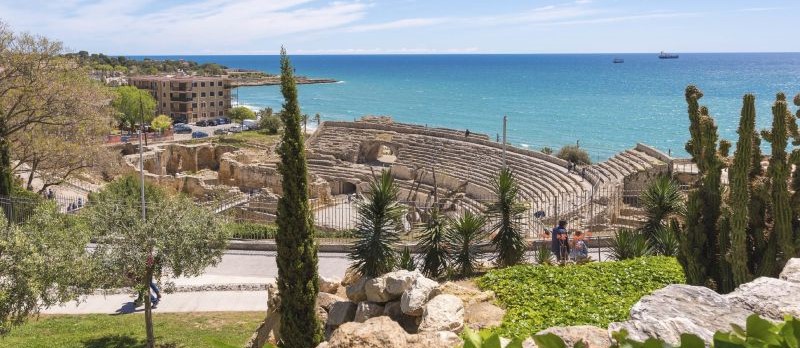 A side view of a plate of figs and berries.