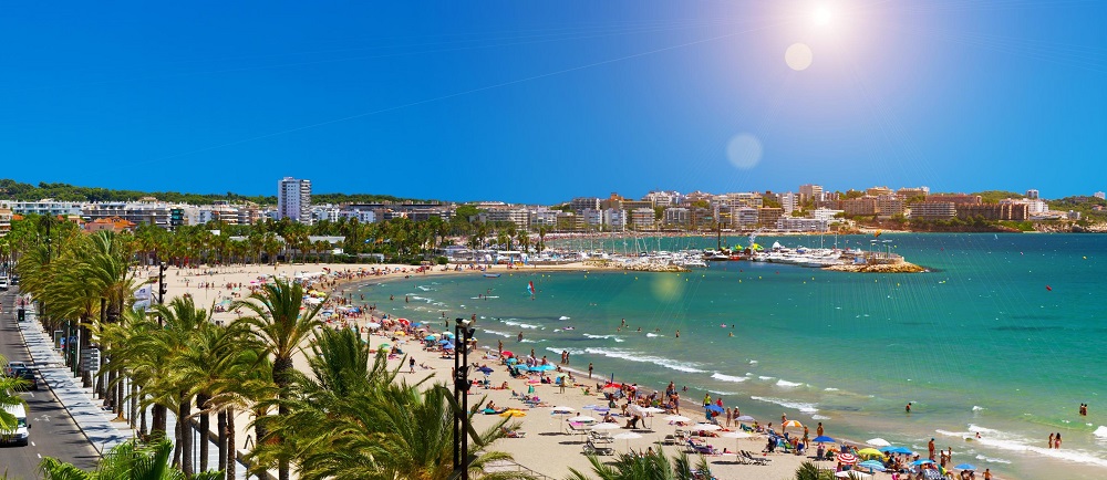 A side view of a plate of figs and berries.
